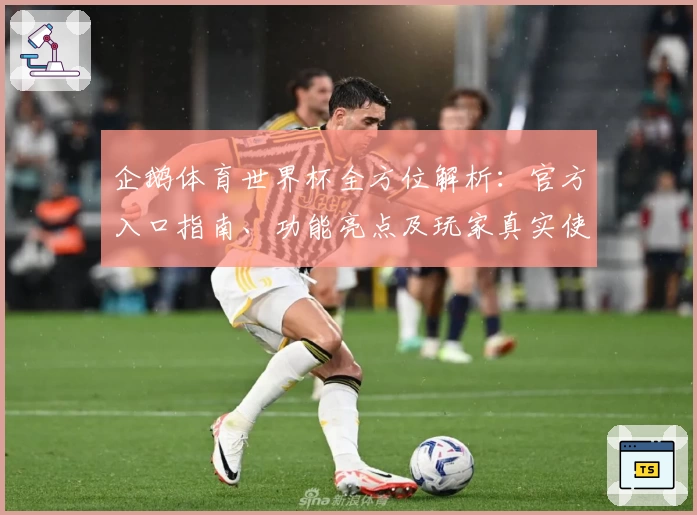 企鹅体育世界杯全方位解析：官方入口指南、功能亮点及玩家真实使用体验汇总