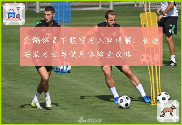 企鹅体育下载官方入口详解：快速安装方法与使用体验全攻略