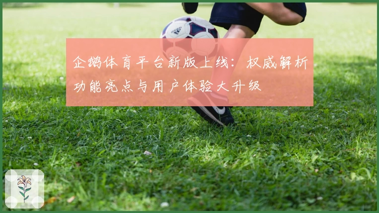企鹅体育平台新版上线：权威解析功能亮点与用户体验大升级