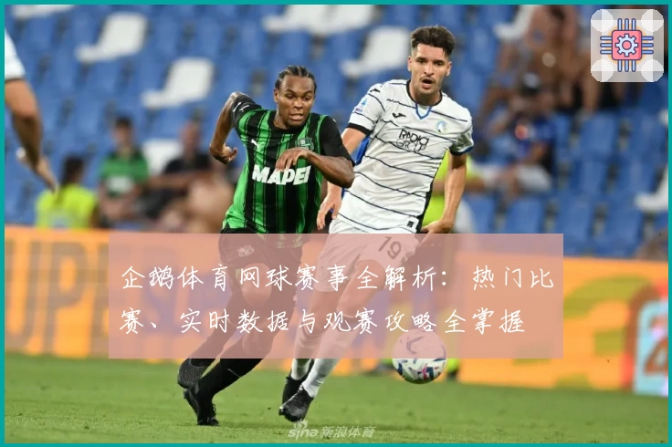 企鹅体育网球赛事全解析：热门比赛、实时数据与观赛攻略全掌握