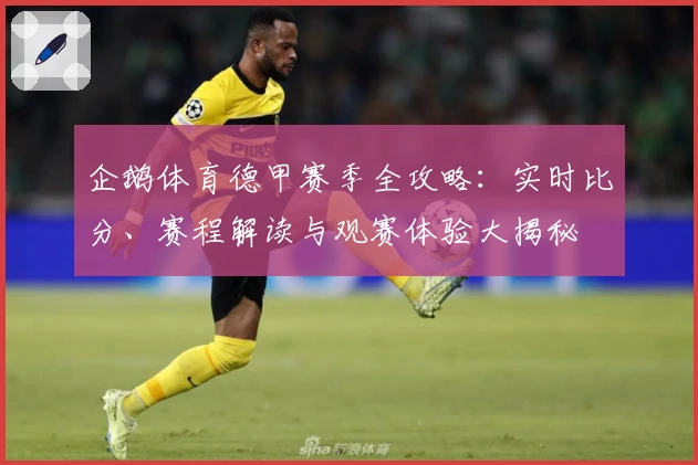 企鹅体育德甲赛季全攻略：实时比分、赛程解读与观赛体验大揭秘