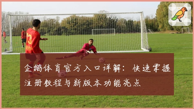 企鹅体育官方入口详解：快速掌握注册教程与新版本功能亮点