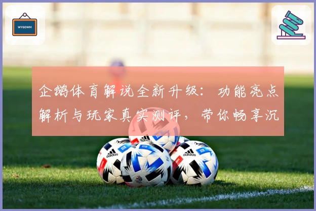 企鹅体育解说全新升级：功能亮点解析与玩家真实测评，带你畅享沉浸式赛事体验