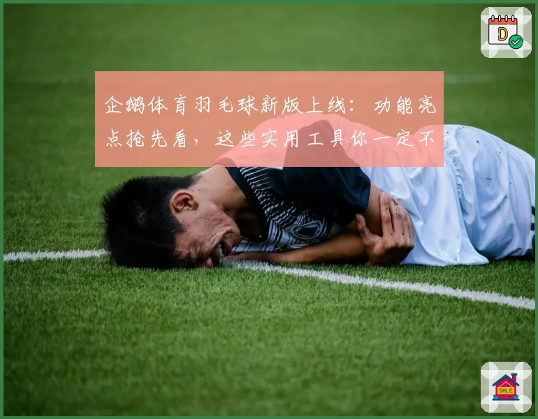 企鹅体育羽毛球新版上线:功能亮点抢先看,这些实用工具你一定不能错过