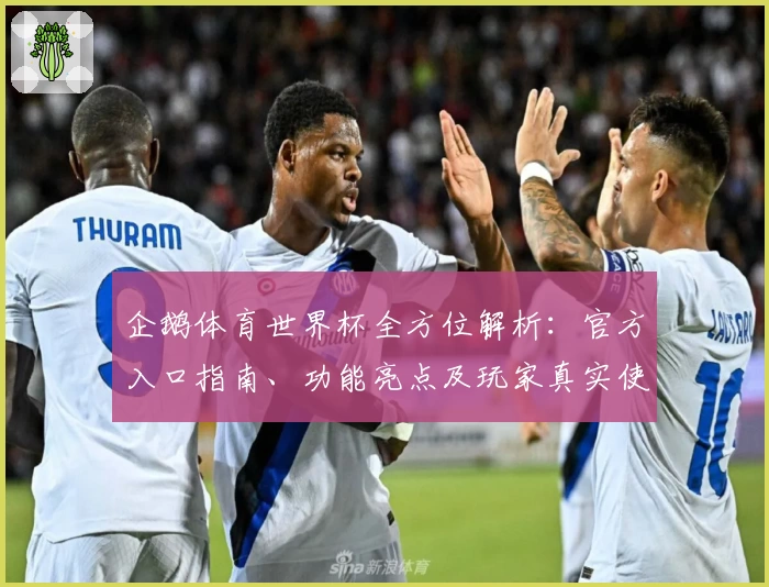 企鹅体育世界杯全方位解析：官方入口指南、功能亮点及玩家真实使用体验汇总